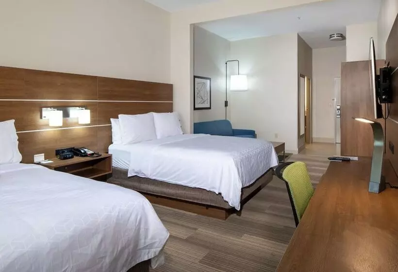 身障者適用スイートルーム, Holiday Inn Express Hotel & Suites Dallas South   Desoto, An Ihg