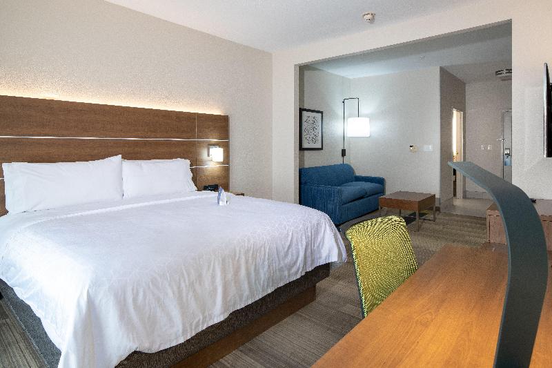 キングサイズベッドのスタンダードルーム, Holiday Inn Express Hotel & Suites Dallas South   Desoto, An Ihg