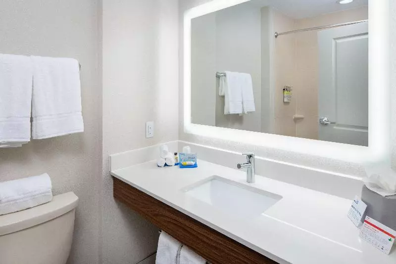 キングサイズベッドのスイートルーム, Holiday Inn Express Hotel & Suites Dallas South   Desoto, An Ihg