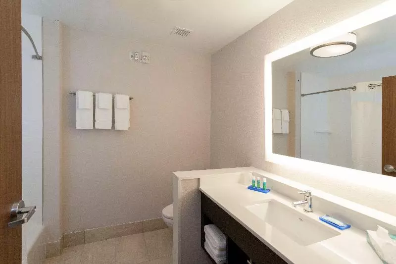 キングサイズベッドのスイートルーム, Holiday Inn Express Hotel & Suites Dallas South   Desoto, An Ihg