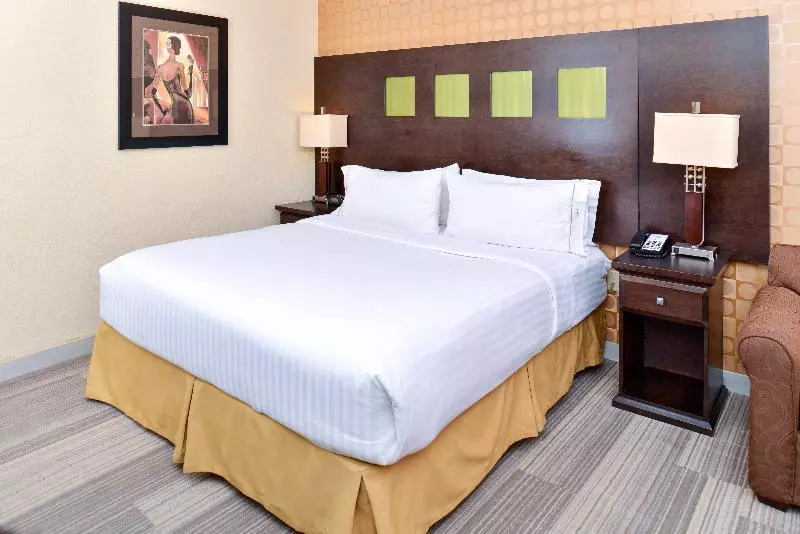 キングサイズベッドのスタンダードルーム, Holiday Inn Express Hotel & Suites Dallas South   Desoto, An Ihg