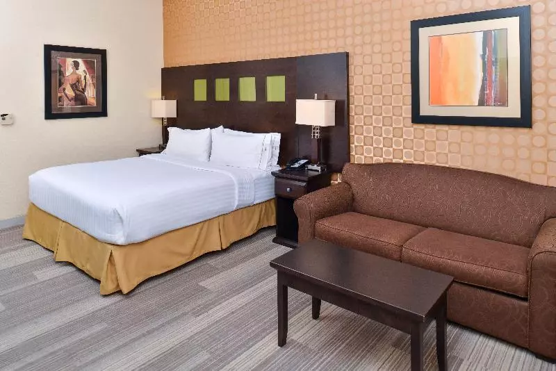 キングサイズベッドのスイートルーム, Holiday Inn Express Hotel & Suites Dallas South   Desoto, An Ihg