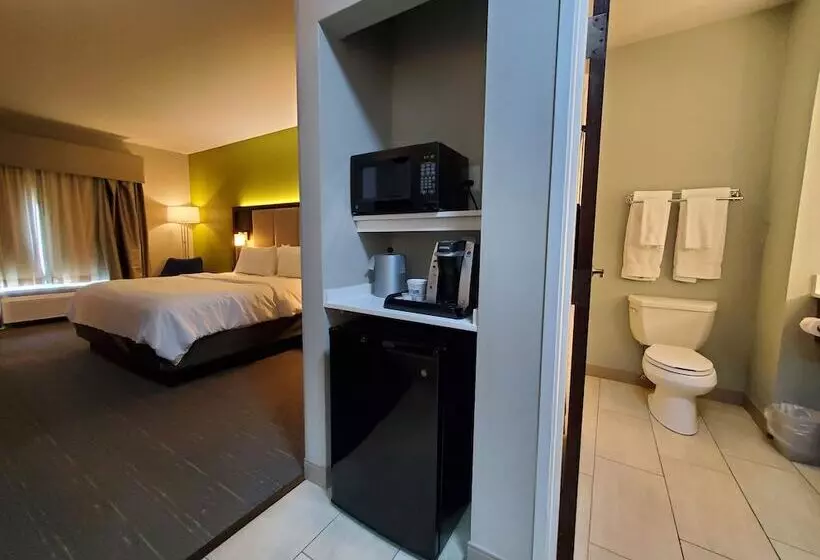 Standard-huone, Holiday Inn Express Pearland, An Ihg