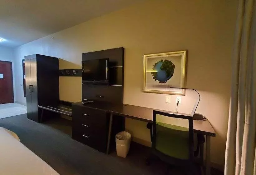 Standard-huone, Holiday Inn Express Pearland, An Ihg