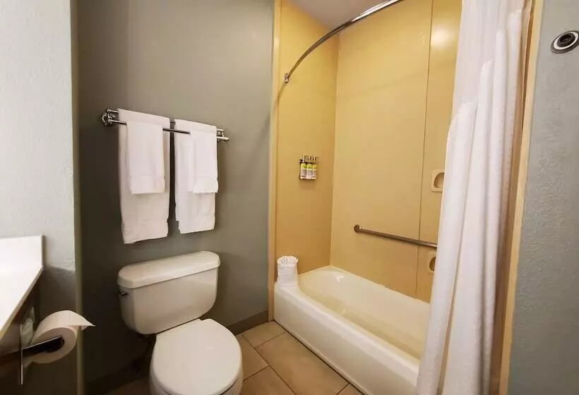 Standard-huone, Holiday Inn Express Pearland, An Ihg