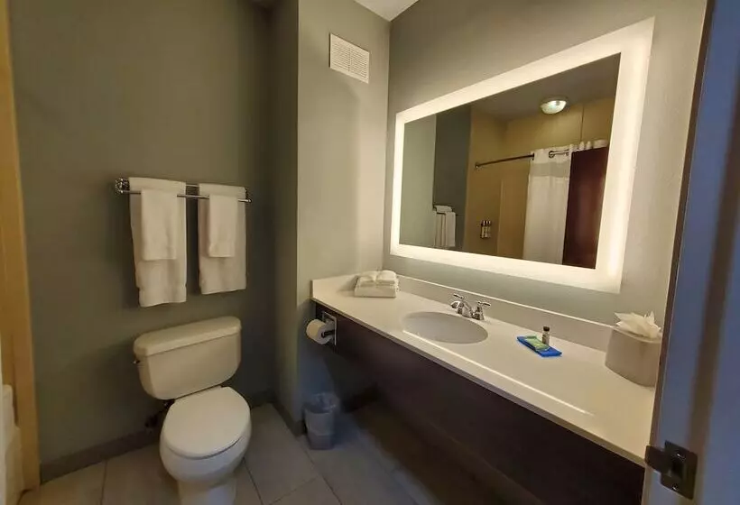 Standard-huone, Holiday Inn Express Pearland, An Ihg