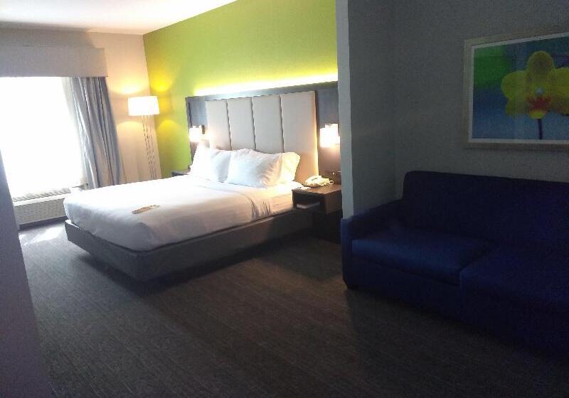 جناح سرير كينج, Holiday Inn Express Pearland, An Ihg