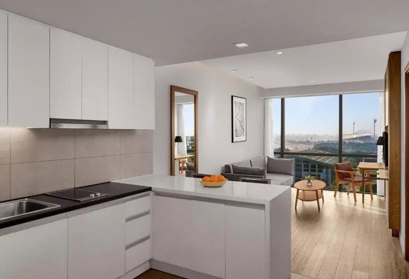 1 Bedroom Apartment