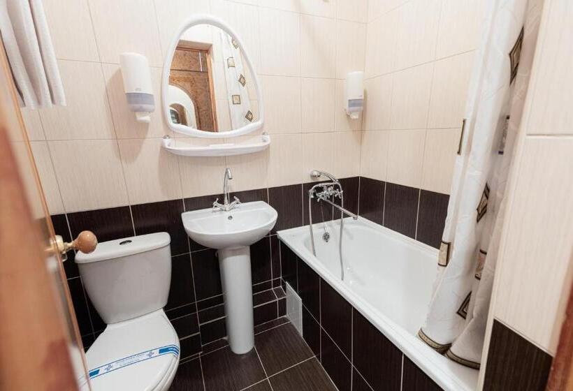 اتاق اکونومی, Mir