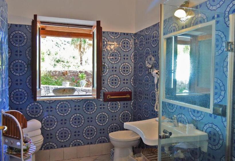 スタンダードルーム, Oasi