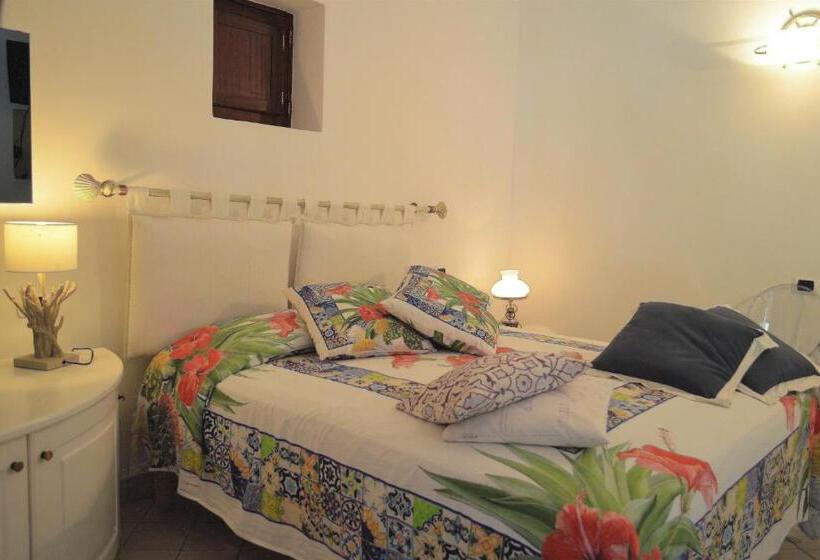 スタンダードルーム, Oasi