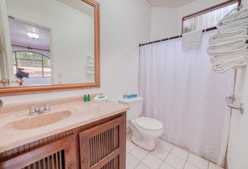 수피리어 룸, Punta Leona