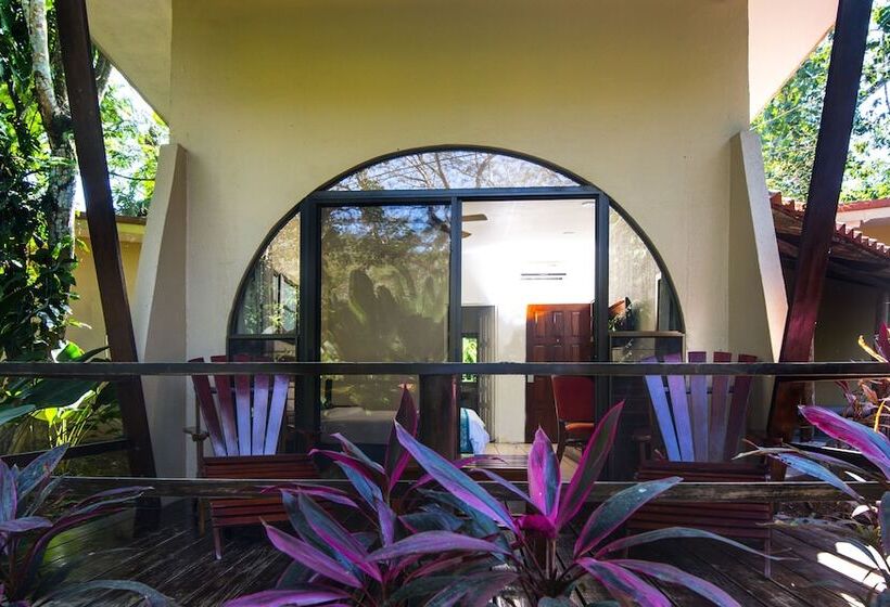 수피리어 룸, Punta Leona