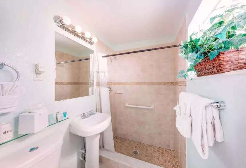 キングサイズベッドのスタンダードルーム, Creekside Inn Islamorada