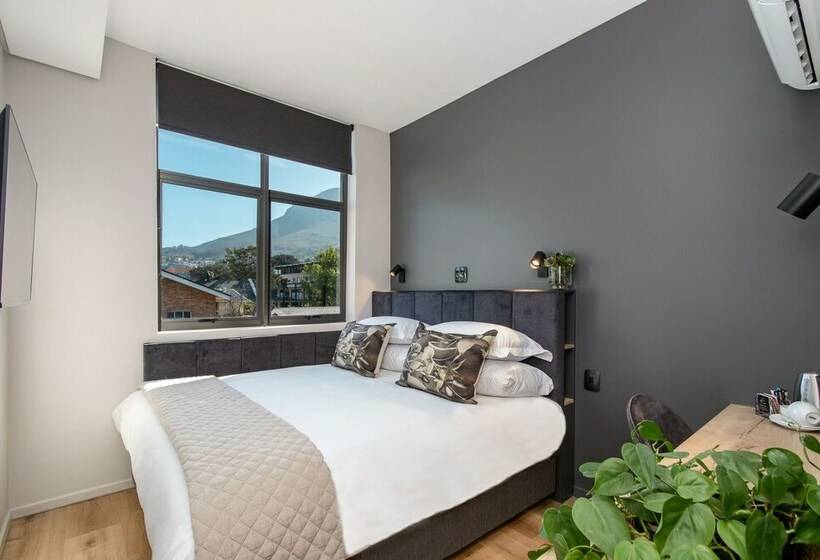 غرفة أساسية, Kloof Street