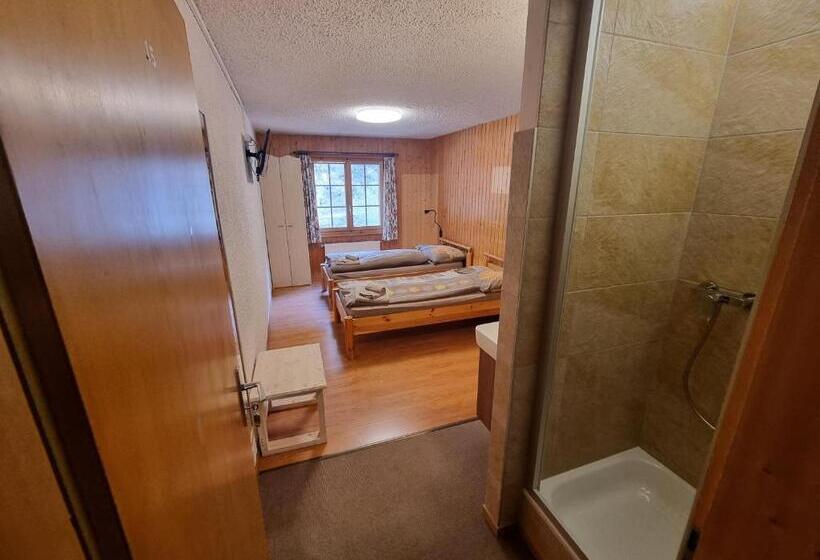 Номер Стандарт, Le Catogne