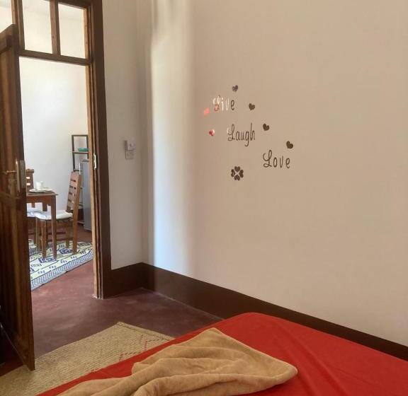 דירת חדר סופריור, Habibi B&b