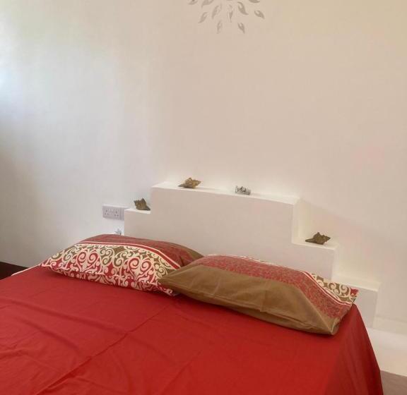 דירת חדר סופריור, Habibi B&b