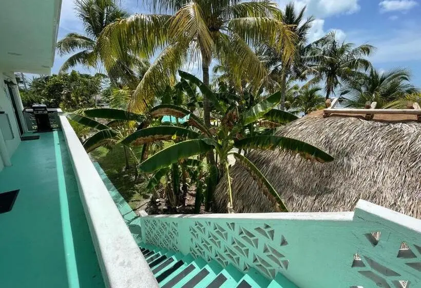 キングサイズベッドのスイートルーム, Gulf View Waterfront Resort