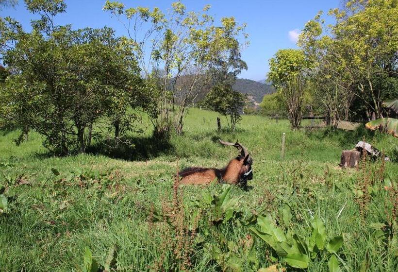 شاليه غرفة نوم واحدة, El Hostel Granjero