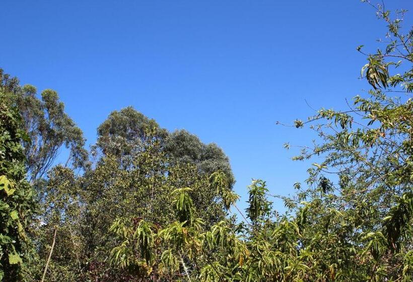 شاليه غرفة نوم واحدة, El Hostel Granjero