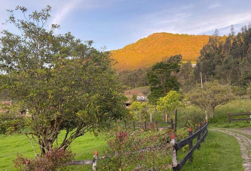 شاليه غرفة نوم واحدة, El Hostel Granjero