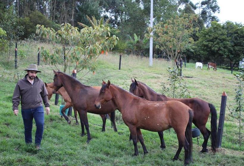 شاليه غرفة نوم واحدة, El Hostel Granjero