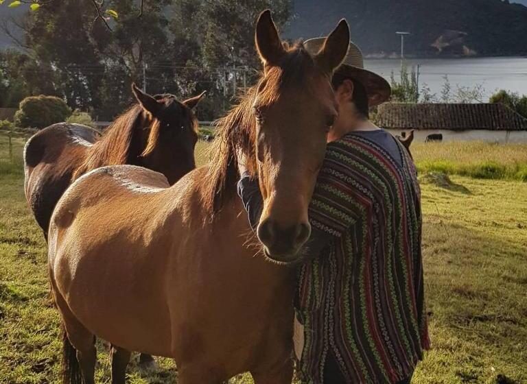 شاليه غرفة نوم واحدة, El Hostel Granjero
