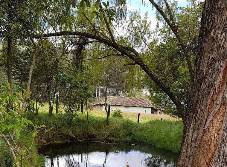 شاليه غرفة نوم واحدة, El Hostel Granjero