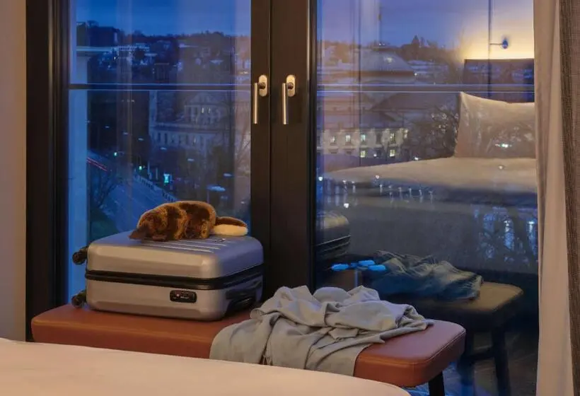 １ベッドルームプレミアムアパートメント, Adina Apartment Hotel Wiesbaden
