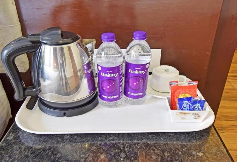 Deluxe Room, Treebo Sky Point