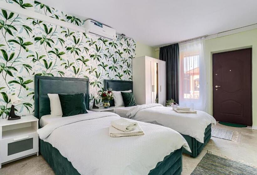 スタンダードルーム, La Conac