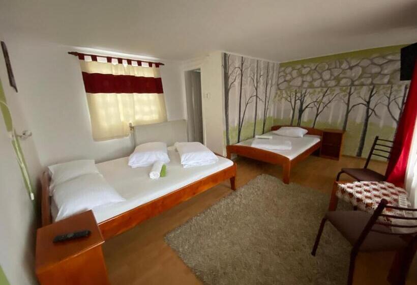 Apartamento 1 Quarto Rés-do-chão, Casa De Oaspeti Anciupi Vendeghaz