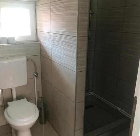 Estudio Familiar, Casa De Oaspeti Anciupi Vendeghaz