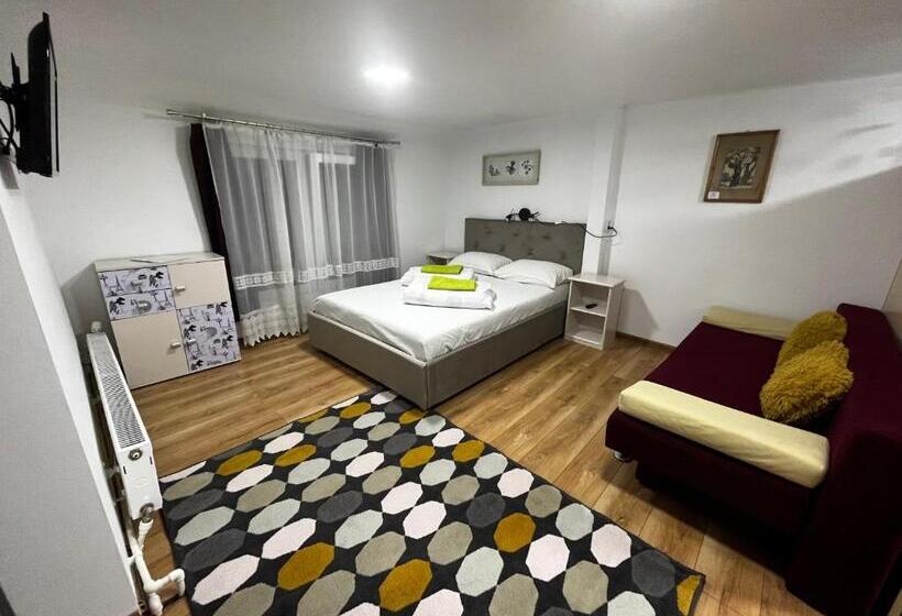 Apartamento 1 Quarto, Casa De Oaspeti Anciupi Vendeghaz