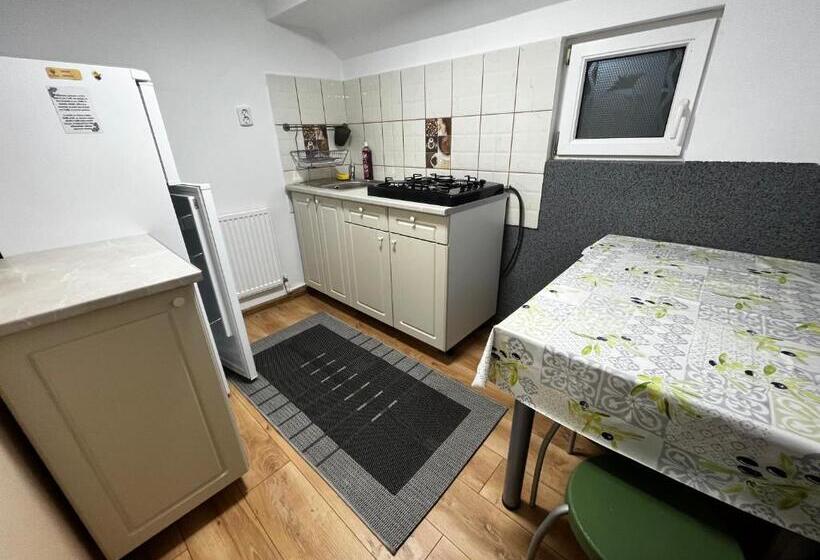 Apartamento 1 Quarto, Casa De Oaspeti Anciupi Vendeghaz