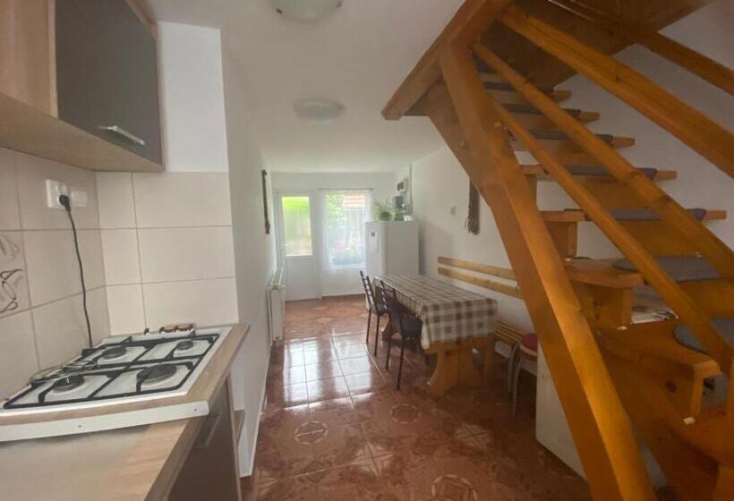 Quarto Familiar, Casa De Oaspeti Anciupi Vendeghaz