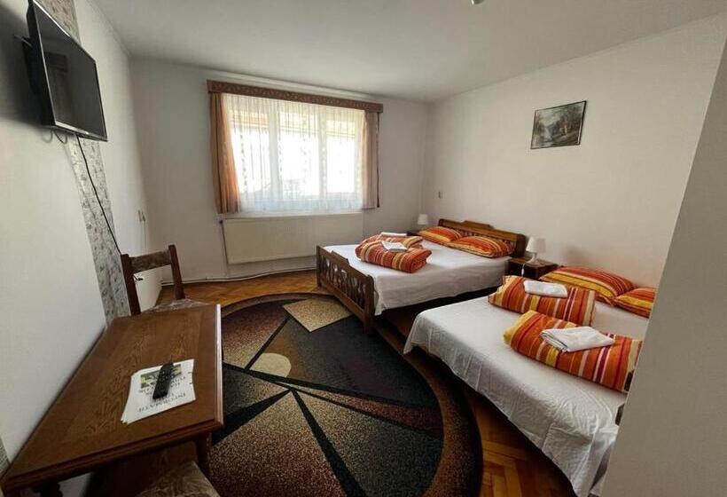 Apartamento 1 Quarto, Casa De Oaspeti Anciupi Vendeghaz