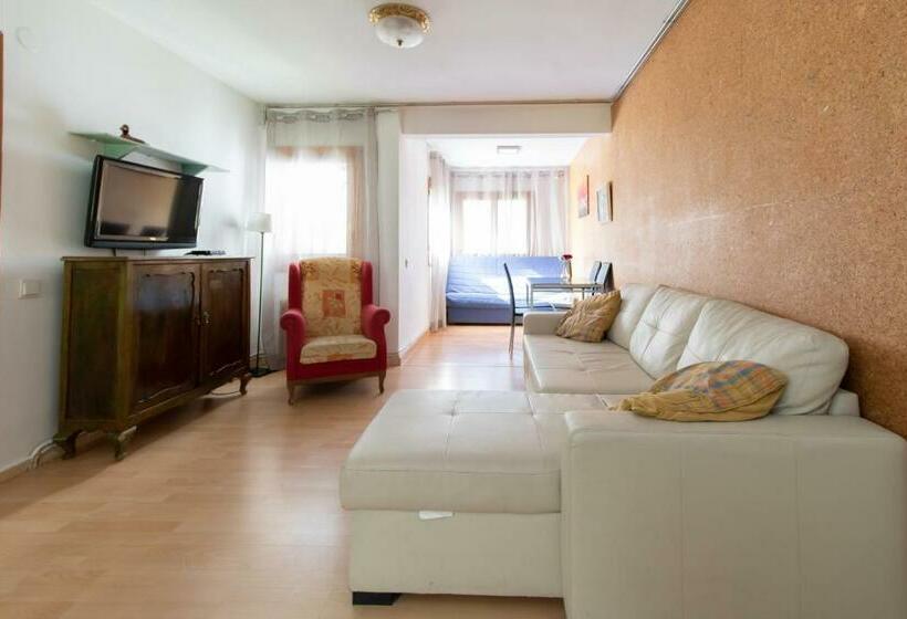 شقة غرفة واحدة, Apartamentos 3000 Formigal