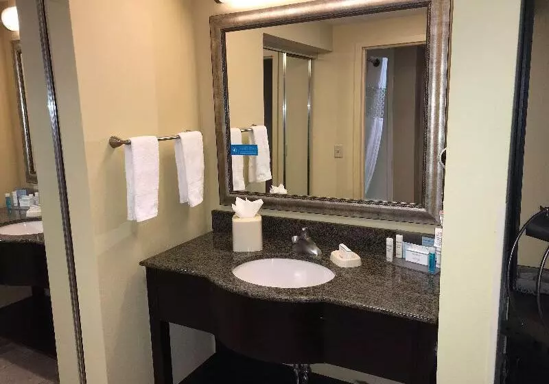 キングサイズベッドのデラックスルーム, Hampton Inn & Suites Austin   Lakeway