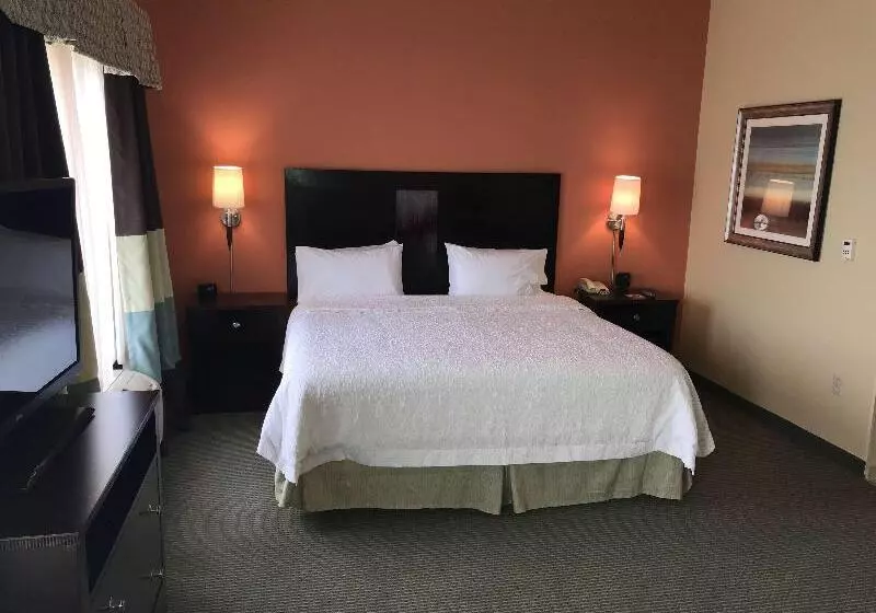 キングサイズベッドのデラックスルーム, Hampton Inn & Suites Austin   Lakeway