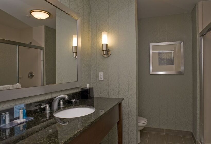 غرفة قياسية, Hampton Inn Anderson/ Alliance Business Park