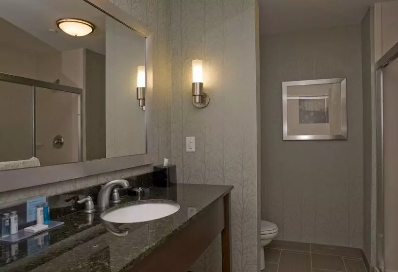 スタンダードルーム, Hampton Inn Anderson/ Alliance Business Park