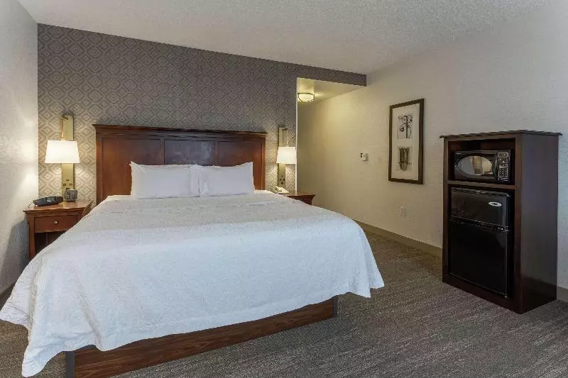 キングサイズベッドのスタンダードルーム, Hampton Inn & Suites Saratoga Springs Downtown
