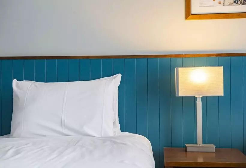 Standard Room, Highfield