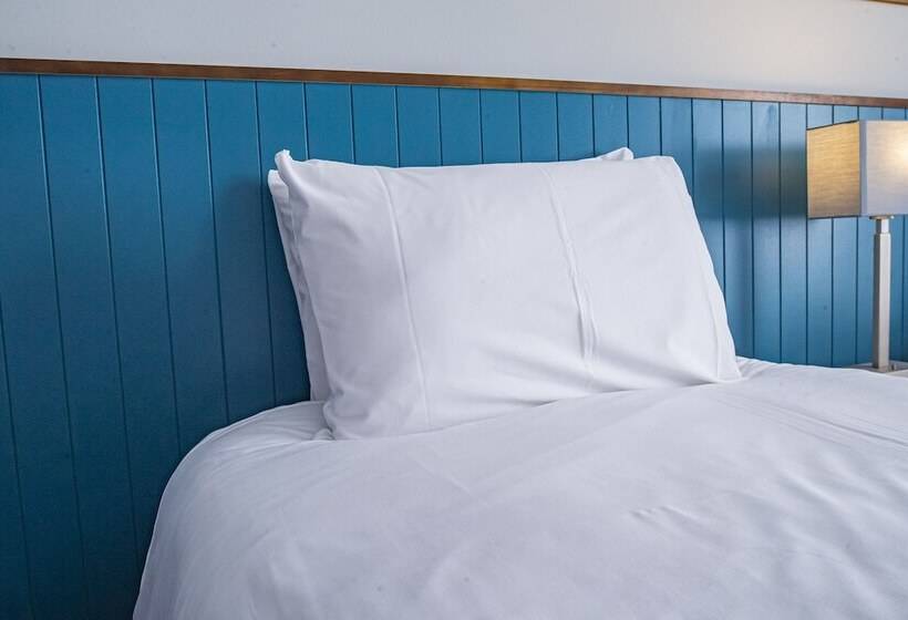 Standard Room, Highfield