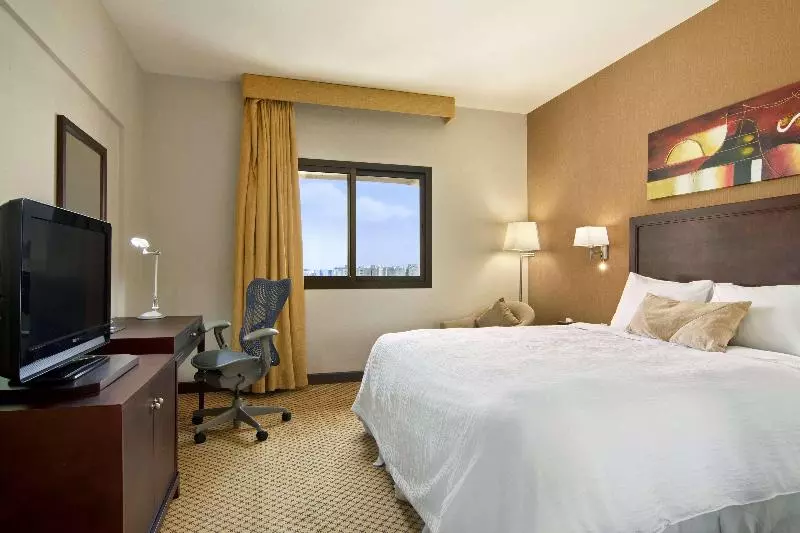 اتاق استاندارد با تخت بزرگ, Hilton Garden Inn Riyadh Olaya