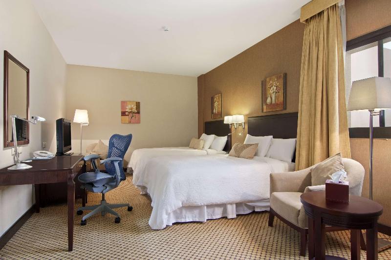 Стандартный Номер Кровать Кинг, Hilton Garden Inn Riyadh Olaya
