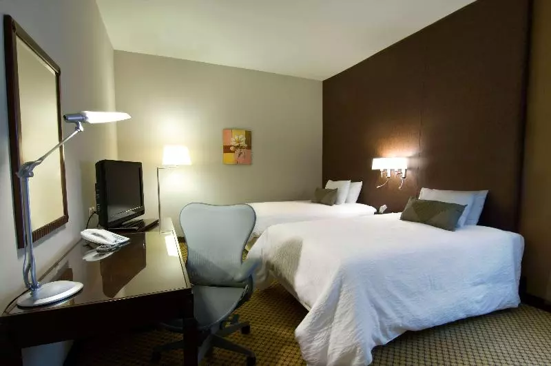 اتاق استاندارد با تخت بزرگ, Hilton Garden Inn Riyadh Olaya