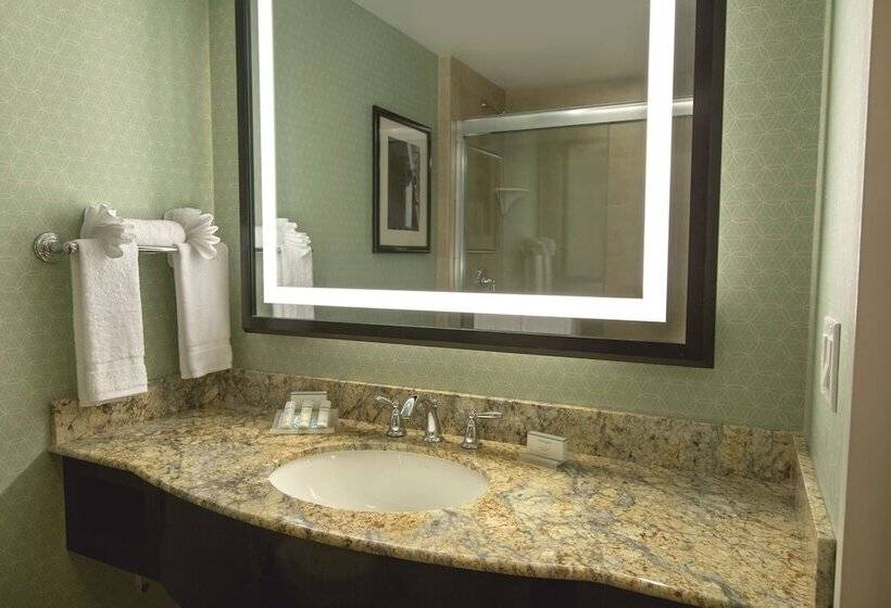 장애인을 위한 스탠다드 룸, Hilton Garden Inn Washington Dc/u.s. Capitol